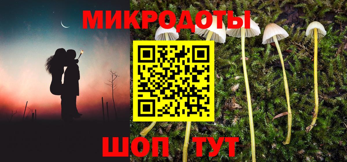 Галлюциногенные грибы Psilocybine cubensis  Вход с VPN  Благовещенск 