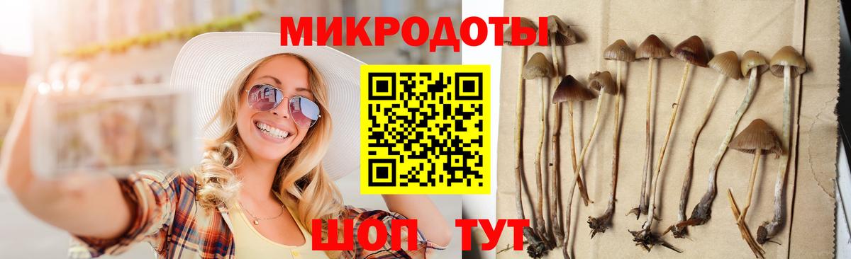 Псилоцибиновые грибы Cubensis Благовещенск